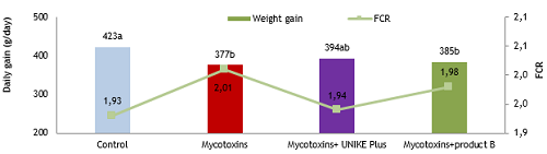 Nghiên cứu khử hoạt tính mycotoxin trên lợn trong quá trình phơi nhiễm mãn tính