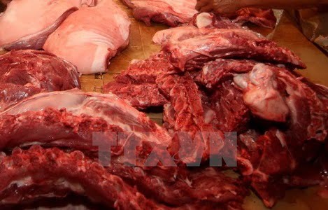 Chưa đủ cơ sở nhận định toàn bộ thịt ở 5 tỉnh phía Nam nhiễm E.coli