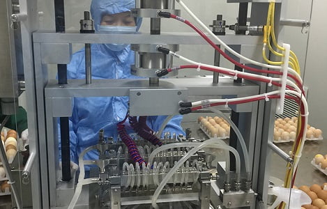 Việt Nam làm chủ công nghệ sản xuất vắcxin cúm gia cầm 2 trong 1