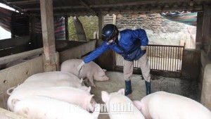 46214573-9a6a-4289-9a55-080d397acea6