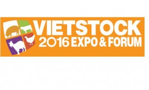 Banner Vietstock