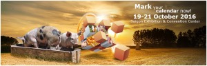 vs_main_banner-01