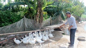 images1274033_1