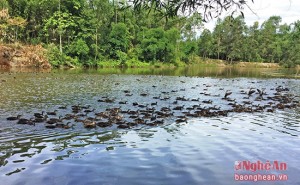 images1609021_vi_t_3