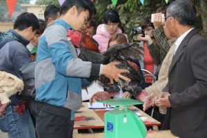 ga-dong-tao-1-1483317964805