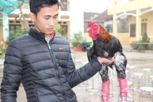 ga-dong-tao-12-1483317964836