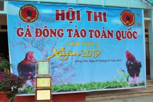 ga-dong-tao-6-1483317964821