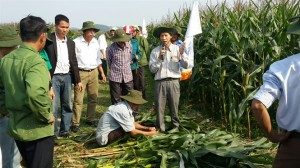 10-01-58_ngo-nk7328-vu-dong-2017-ti-thnh-duong-300x168