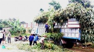 10-01-58_thuong-li-mu-ngo-sinh-khoi-ti-ql46-300x168