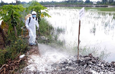 ĐBSCL: Thêm hàng ngàn con gia cầm nhiễm cúm H5N1