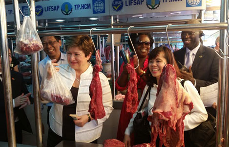 Dự án LIFSAP thúc đẩy ngành chăn nuôi Việt Nam