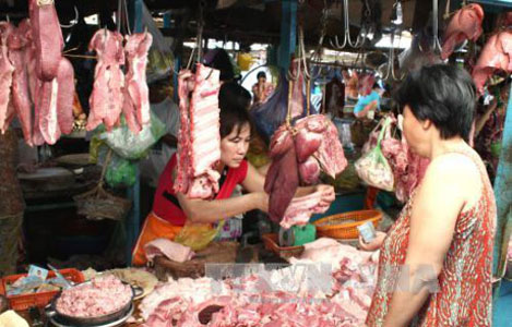 Giá lợn thịt tại Vĩnh Phúc liên tục giảm