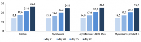 Nghiên cứu khử hoạt tính mycotoxin trên lợn trong quá trình phơi nhiễm mãn tính