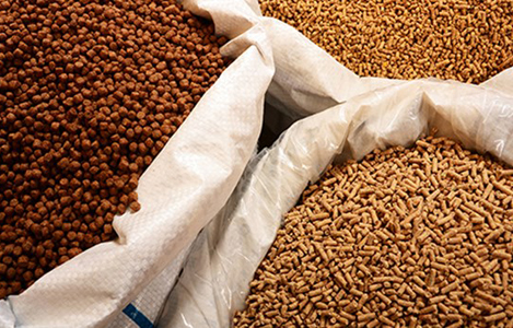 Nhập khẩu nguyên liệu thức ăn chăn nuôi từ Achentina tăng mạnh