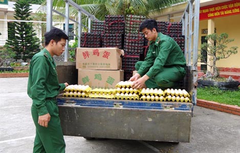Vận chuyển 24 nghìn quả trứng gia cầm nhập lậu