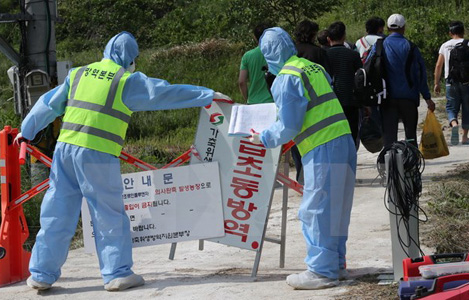 Hàn Quốc phát hiện thêm ít nhất 2 chủng cúm gia cầm có nguy cơ lây nhiễm cao