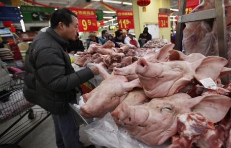 Bộ Công Thương cảnh báo Trung Quốc giảm giá, tăng đàn lợn thời gian tới