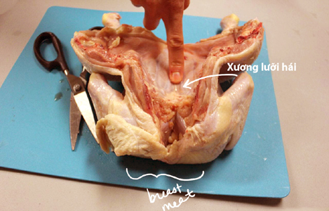 Tìm hiểu về trường hợp tổn thương xương lưỡi hái ở gà đẻ