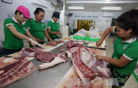 Giá thịt lợn hơi dao động ở mức 36.000 đồng/kg
