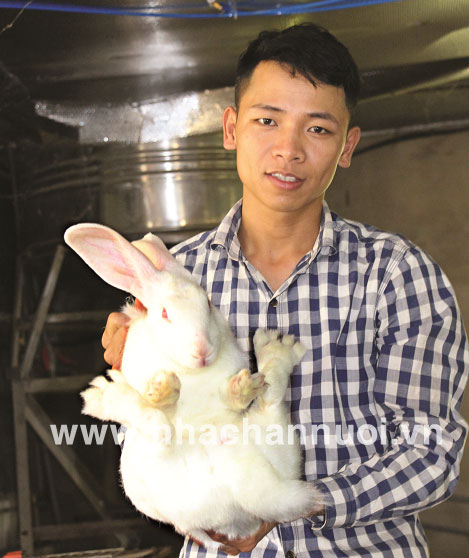 Giám đốc HTX Bắc Sơn: Thành công nhờ “mê” thỏ
