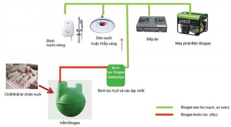 Ứng dụng công nghệ Nano để có nguồn biogas sạch