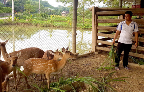Tuyên Quang: Siết chặt quản lý các cơ sở nuôi nhốt động vật hoang dã