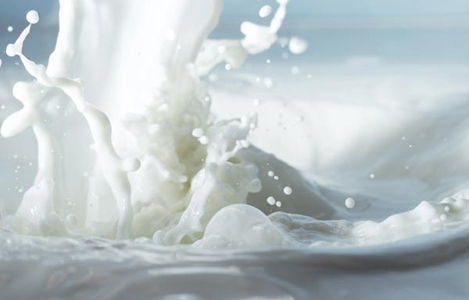 Tình hình sản xuất, nhập khẩu và triển vọng thị trường sữa Việt