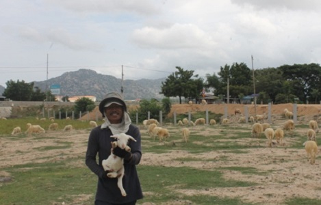 Giá thịt cừu nhảy vọt, nông dân Ninh Thuận lãi hơn 1 triệu/con