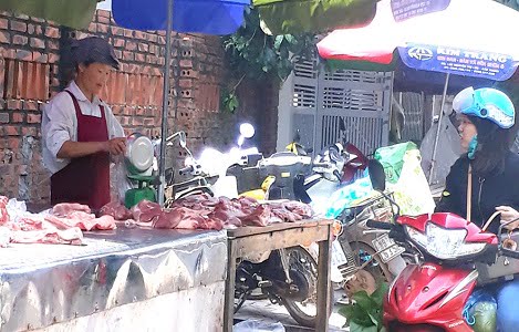 Bắc Giang: Giá lợn hơi thấp, người chăn nuôi lỗ khoảng 300 nghìn đồng/một tạ lợn