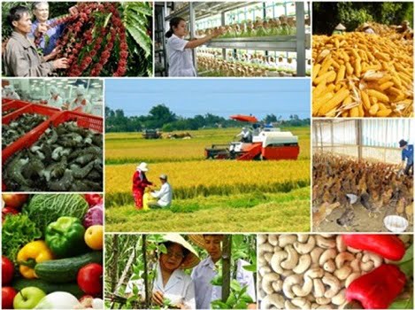 Thủ tướng phê duyệt kế hoạch cơ cấu lại ngành nông nghiệp