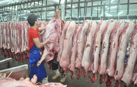TPHCM: Một số nhà máy giết mổ gia súc hiện đại hoạt động trong quý 1/2018