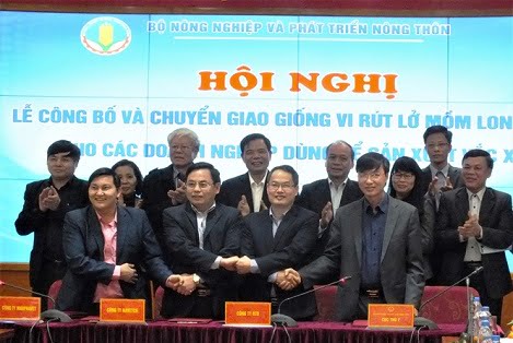 Việt Nam lần đầu 'ra mắt' giống vacxin lở mồm long móng