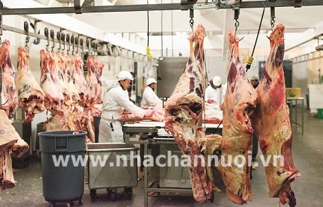 Yêu cầu khắt khe khi nhập khẩu thịt vào Liên minh châu Âu