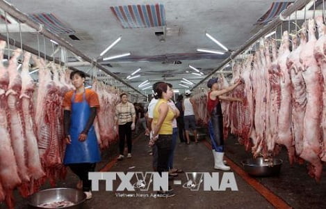 Chợ đầu mối nông sản thực phẩm Tp. Hồ Chí Minh tăng nguồn cung phục vụ Tết