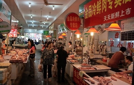 Rabobank: Cuộc chiến giành thị trường thịt heo Trung Quốc sẽ trở nên gay gắt hơn