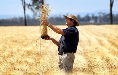 Vì sao ngành nông nghiệp Úc lại phát triển thành công đến thế?