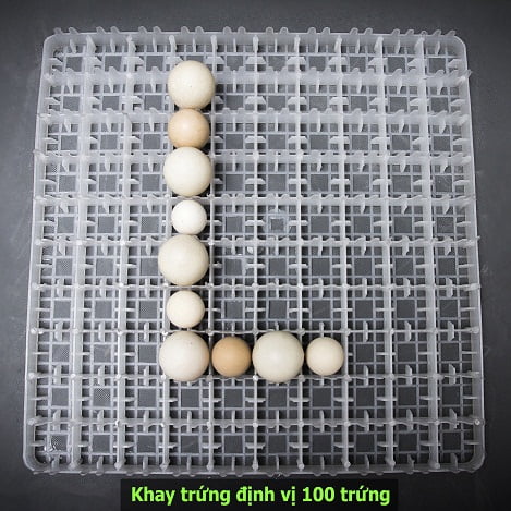 Công ty TNHH máy ấp trứng sự sống [L.IN]