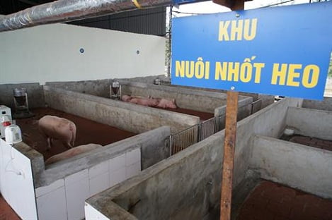 Khánh thành Khu giết mổ gia súc gia cầm tập trung lớn nhất Thái Nguyên