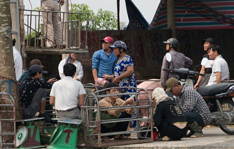 Thủ phủ thịt lợn Hà Nam lượng giao dịch mỗi ngày giảm còn 1/3