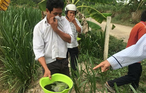 Dân chết mòn vì sự ô nhiễm môi trường khủng khiếp của trại heo Triệu Hải