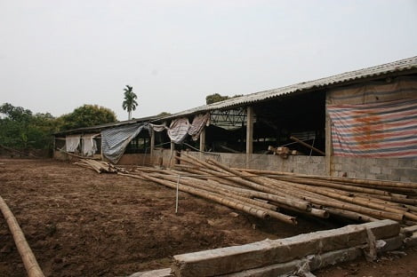 Hà Nam: Xót xa cảnh trại lợn bỏ trống, người nông dân phá chuồng làm thuê trả nợ