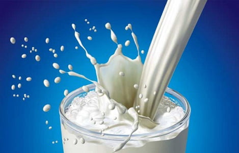 Tổng quan tình hình xuất – nhập khẩu sữa và sản phẩm 6 tháng đầu năm 2019