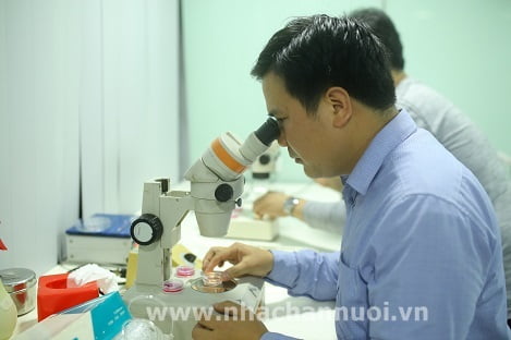 Học viện Nông nghiệp Việt Nam: Thành công từ công nghệ thụ tinh trong ống nghiệm và cấy truyền phôi tươi ở bò