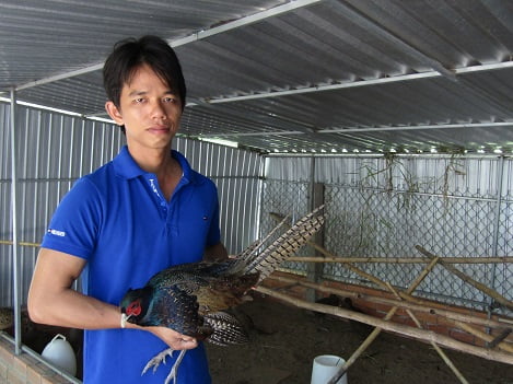 Loại trứng xanh đỏ khác lạ đắt gấp 15 lần, bà nội trợ lùng mua - Báo Quảng  Ninh điện tử