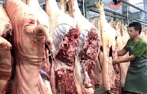 TP.HCM bàn việc lập sàn giao dịch thịt heo