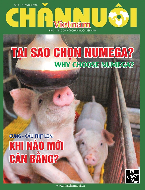 Tham gia vào thế giới chăn nuôi Việt Nam với tạp chí đầy đủ thông tin, kinh nghiệm hữu ích và những bức hình đẹp làm say lòng những ai yêu thích chăn nuôi.