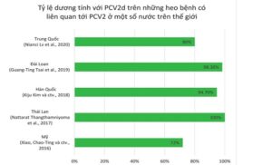 Biến đổi kiểu gien của Porcine Circovirus type 2 (PCV2) và hiệu quả vắc ...