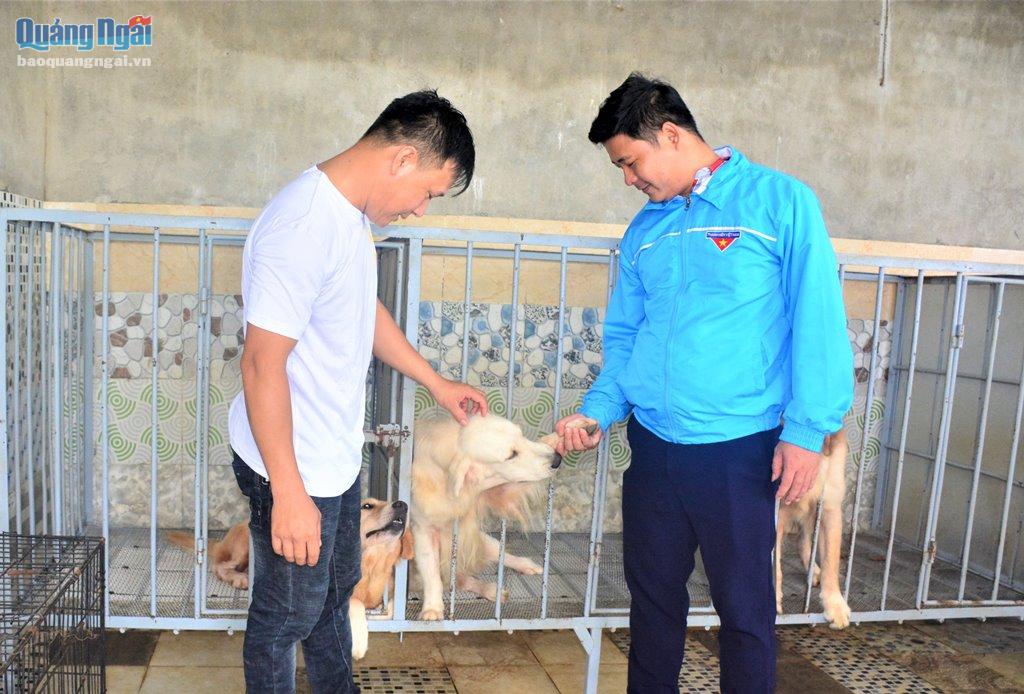 Chủ trang trại chăn nuôi Lương Văn Tuấn Đi lên từ gian khó  Đăng trên  báo Bắc Giang
