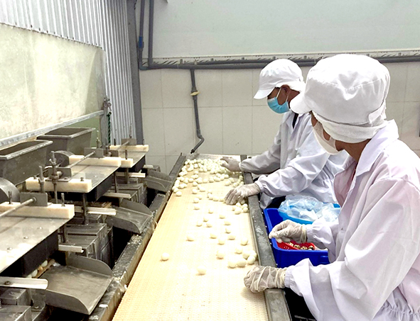ドンナイ：日本への輸出用のきれいなウズラの卵の生産